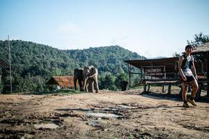 BIB: 
                            <button type="button" onclick="openModal(22423591)" class="btn btn-primary btn-sm float-right btn-popup" data-toggle="modal" data-target=".modal-high-quality">
                        <i class="fas fa-shopping-cart"></i> Add to Cart
                    </button>
                                            <button type="button" onclick="isThisMe(22423591, true)" class="btn btn-success btn-sm float-right btn-popup btn-isme hidden" data-toggle="tooltip" data-placement="bottom" title="นี่คือรูปของคุณใช่ไหม คลิกที่นี่เพื่อเอาเข้าอัลบั้ม">
                        <i class="fas fa-plus"></i> Add to album
                    </button>
                    <button type="button" onclick="isThisMe(22423591, false)" class="btn btn-warning btn-sm float-right btn-popup btn-isnotme hidden">
                        <i class="fas fa-ban"></i> Remove from album
                    </button>